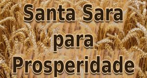 Santa Sara para Prosperidade